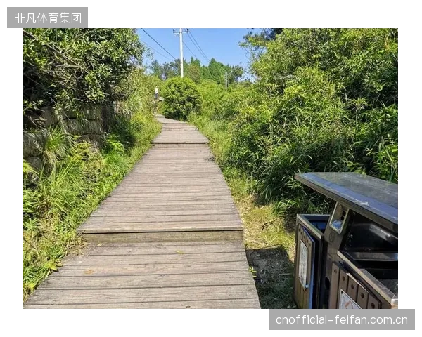三年就残破不堪的健身步道：标准化建设若无标准化的维护预算跟随，就是一场资源浪费